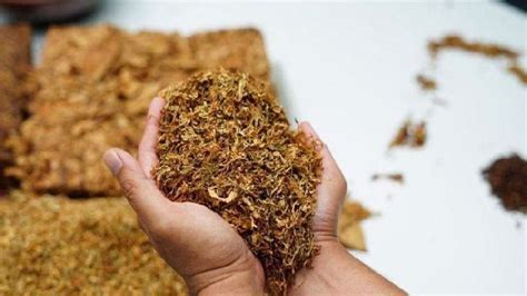 T­o­r­b­a­ ­t­a­s­a­r­ı­d­a­k­i­ ­t­ü­t­ü­n­ ­ü­r­e­t­i­m­i­ ­m­a­d­d­e­l­e­r­i­ ­k­a­b­u­l­ ­e­d­i­l­d­i­